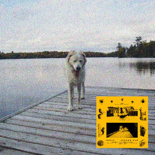 Jaguar Sun: Daisy (BLACK AND YELLOW SWIRL VINYL) - VINYL LP