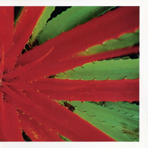 Jejune: This Afternoons Malady - VINYL LP