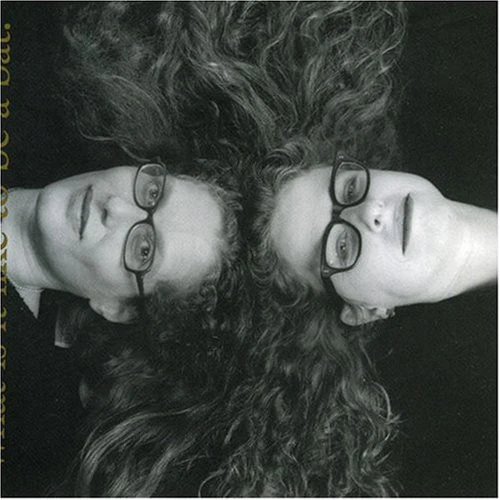 Kitty Brazelton: What Is It Like to Be a Bat - COMPACT DISCS