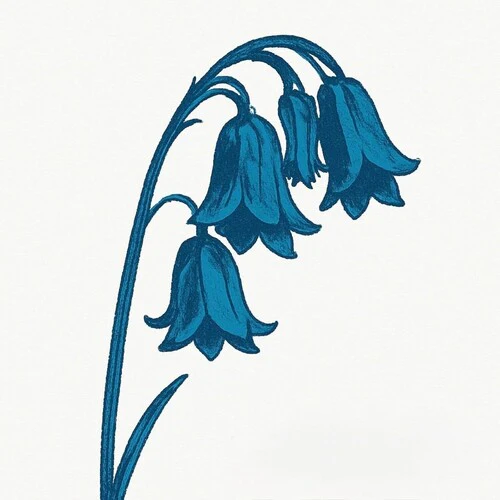 The Bluebells: This Is The Bluebells - Glade Green Vinyl - VINYL LP